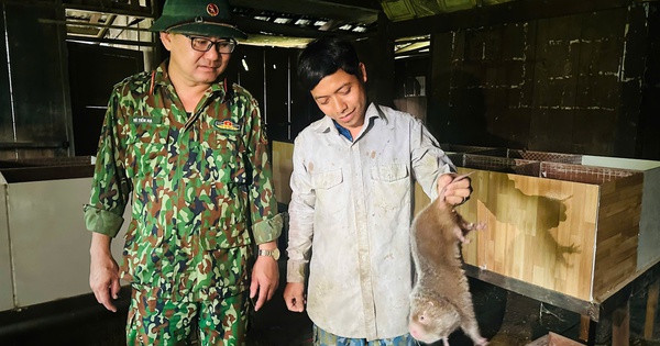 nuoi dui 1738913129997257732530 303 0 1643 2560 crop 1738913598980121808940