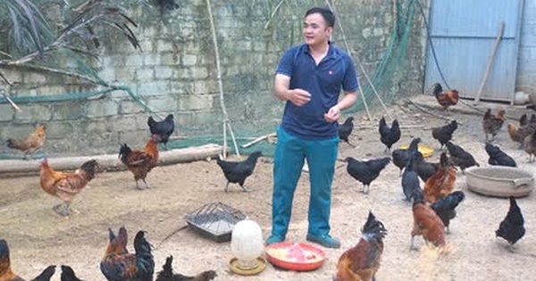 nuoi ga den dac san ha giang 17387411039131168597892 34 0 265 441 crop 1738741231715159317173