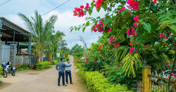 Nông thôn mới Đắk Nông, ở huyện này dân đang giàu lên nhờ trồng các "cây tiền tỷ", làng xóm trù phú 9 phe sau rieng den nhung con duong khang trang huyen bien gioi o dak nong dang vuon len giau dep 7 1739369110426825352423 332 0 1672 2560 crop 17393695445361818667228