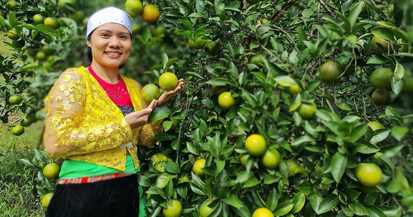 photo 1738742807440 1738742807695552197271 291 0 1012 1377 crop 17387430856232034752029