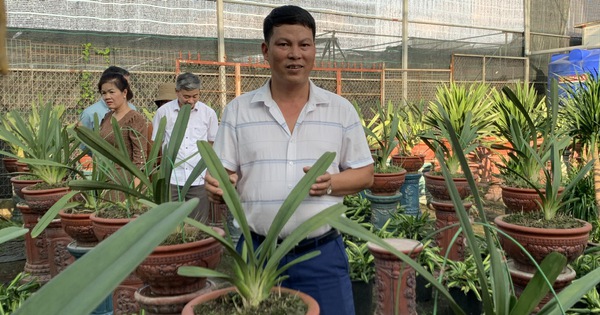 ty phu hung yen lan kiem dot bien 1739956418334250647128 76 0 746 1280 crop 1739957138253524975070