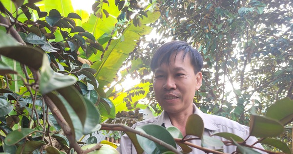 vu sua chu vuon 17405360316391875638444 0 0 1047 2000 crop 17405360367912104449553