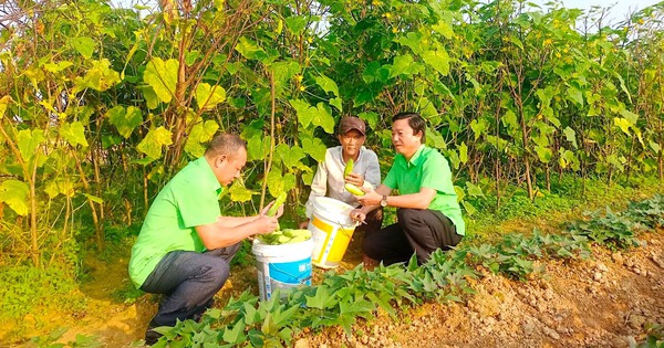 4286102937211359735645786659619795463886677n 1741315398621439024898 170 0 826 1253 crop 1741315406670534878876