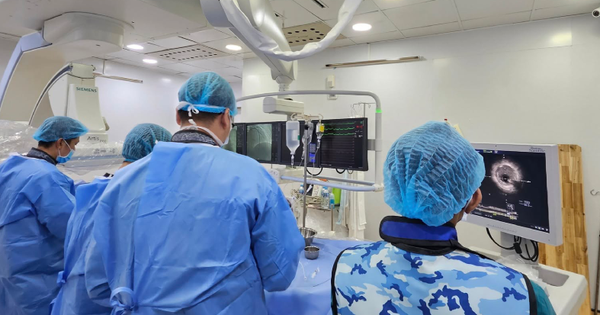 avatar1742203080191 17422030805421364387646