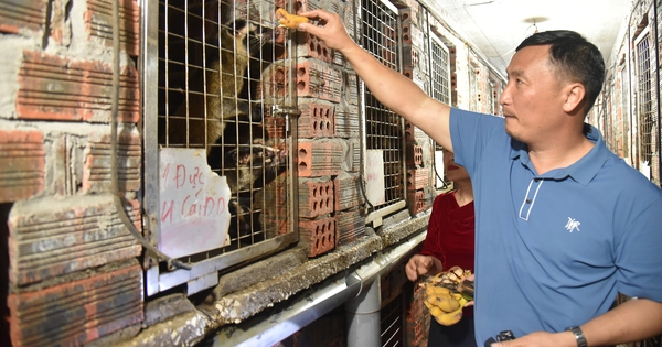 cay voi huong cay voi moc 3 17416284065891783864658 369 0 1709 2560 crop 17416286473951037695135