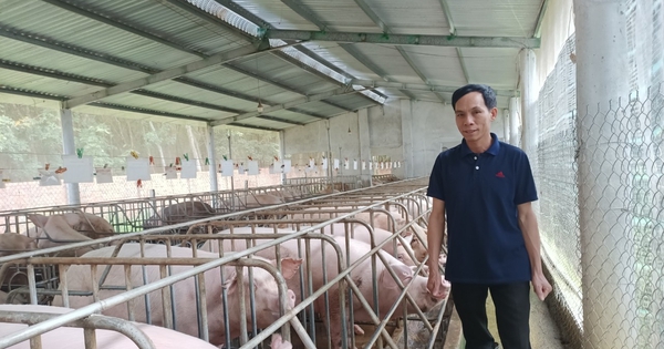 3 nông dân được bình chọn “Công dân Bình Phước ưu tú” dịp kỷ niệm 50 năm Ngày giải phóng tỉnh Bình Phước 4 giang 17423515641241336841747 86 0 756 1280 crop 17423640038062009327655
