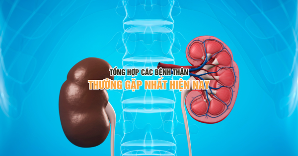 lich hang thang mau kem phong cach huu co 1 1741081634528522087935 0 0 562 900 crop 1741081641850245603811
