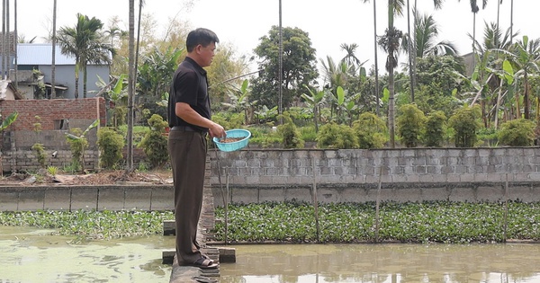 nuoi ba ba hai duong 1742806542367156613439 37 0 964 1770 crop 17428067207361059239389