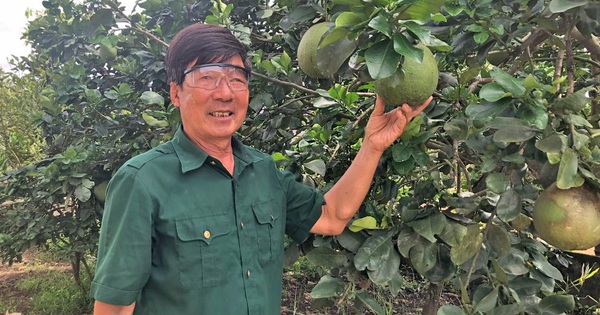 onghung2025030623014420250309174211 1741682126134 174168212640445180867 0 119 720 1271 crop 1741682266146758352992