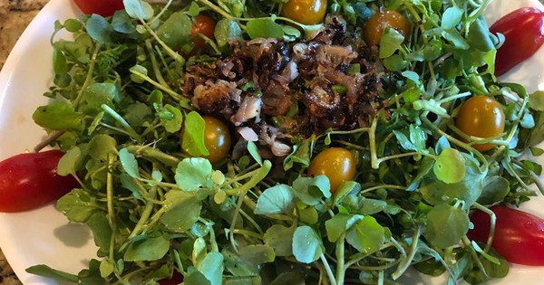 rau cai xoong tot nhat the gioi 1741144838556486722987 0 53 630 1061 crop 17411448441961395747154