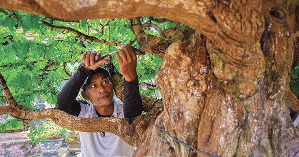 t44 1 1741160188963 17411601890711911828309 0 0 625 1000 crop 1741160266285345575850