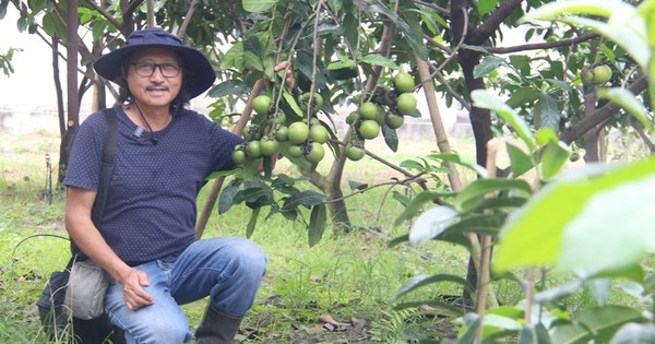 vuon cay doc la giua long thanh pho 2 1741674014775 17416740149101876967224 97 0 621 1000 crop 17416742181152027746306