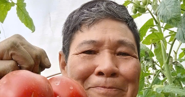 Tỷ phú Lào Cai, trồng loại quả ngon xuất xứ từ Israel là một ông nông dân cầm chắc tiền tỷ/năm 13 z6393072433956 df79de5975265b0a2aa0926f88b728b9 1742287003021793224386 229 0 732 960 crop 17422870385691424529566