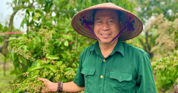 Một tỷ phú Hưng Yên là nông dân trồng vải trứng to bự, quả đặc sản, bán giá 500.000 đồng/kg 6 z64270152557790dc8944178f99769e97faf141fad2dfc 17425173654981540710281 319 0 1664 2568 crop 17425173951021621889263