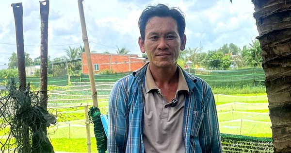 Nuôi con đặc sản "siêu đẻ" la liệt, dày đặc dưới ruộng, một nông dân Long An hễ vợt lên bán là hết veo 4 zalo1156682024160173 17424799789502095550694 39 0 542 960 crop 17424800062351219259011