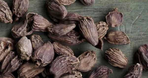 avatar1743898703284 1743898703570182253929 0 0 275 440 crop 17438987732141183185789