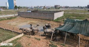 dji0557 1678177676273 1734504707437 crop 1743495650498