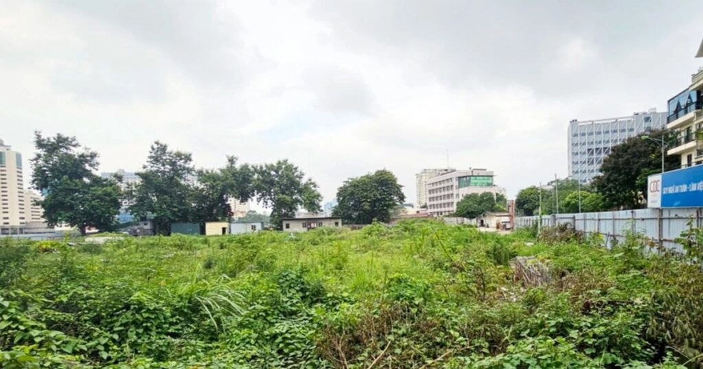 giang vo crop crop 1744448002292