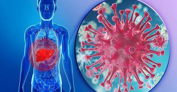 Biến chứng đáng sợ của men gan thấp nếu không được điều trị đúng 1 men gan thap5 4 17447859642331395086026 0 0 313 500 crop 17447860374681548135758
