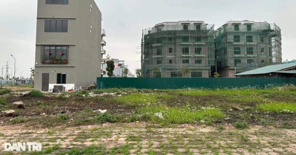 Hà Nội yêu cầu xử lý nghiêm trường hợp chuyển đổi mục đích đất trái phép 1 photo2024 09 14 10 crop edited 1728095554310 crop 1745347557498