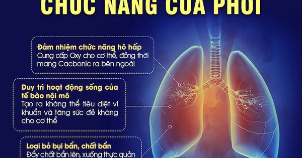 18 lợi ích của việc đi bộ 30 phút mỗi ngày 1 avatar1746025989520 1746025990519568960035