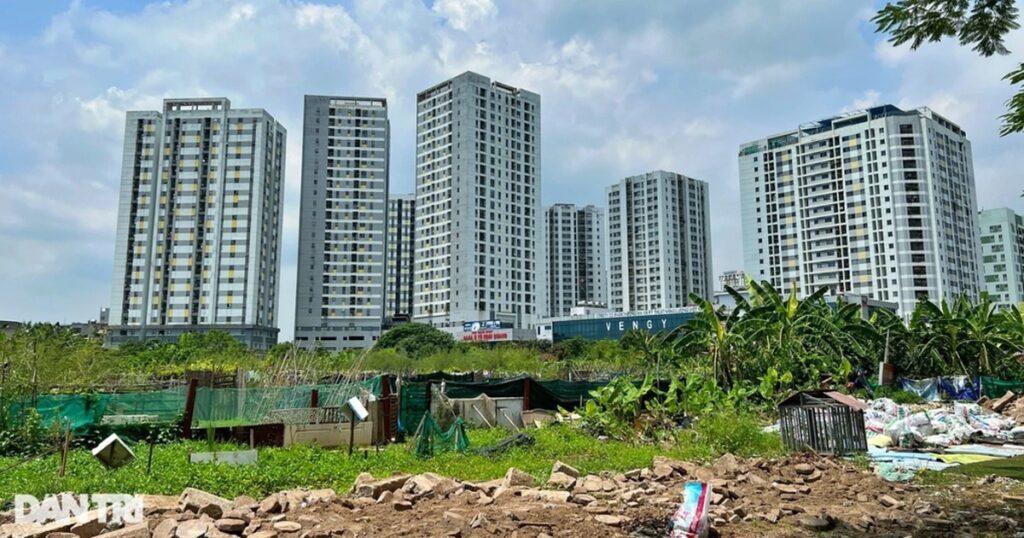 Hà Nội dự kiến có hơn 4.700 căn nhà ở xã hội trong năm nay 1 chung cu moc nhu nam o linh dam 1661954975617 1733944532915 crop 1747286004018