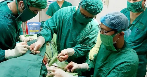 di vat phoi 1747380848715798249886 62 0 482 672 crop 17473808534801059379242