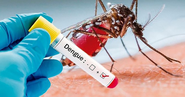 sot 1662697476433508949702 1748582517892 1748582518676743347646 0 129 606 1099 crop 1748582627264741506509