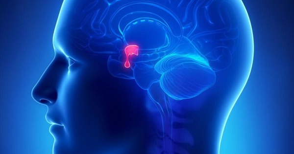 u tuyen yen5 17485033376491288007398 113 0 613 800 crop 17485034083542141837173