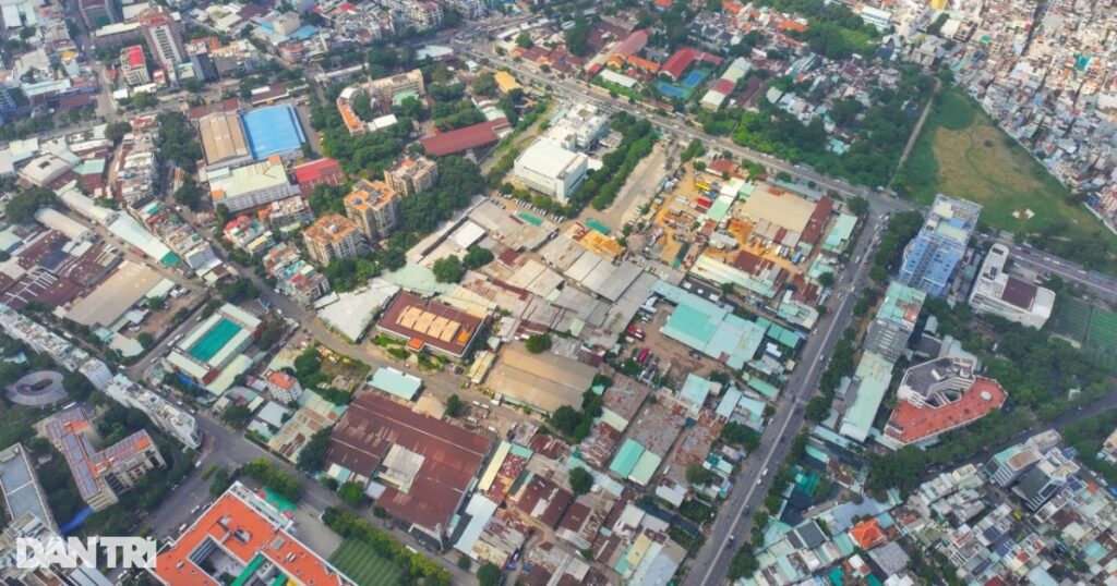 bds tphcm crop 1733960934728