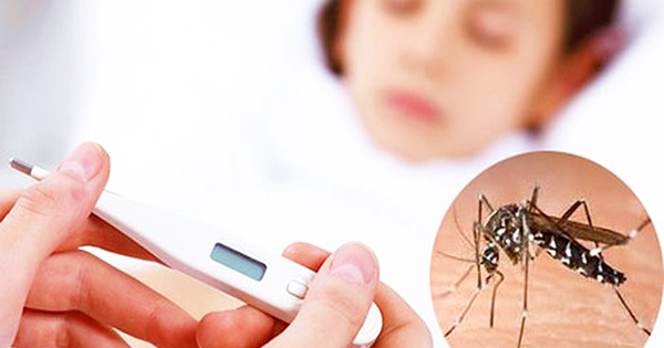 cham soc nguoi benh sot xuat huyet 17500459528351393555958 36 0 411 600 crop 175004597352510995307