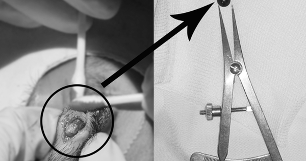 edit anh chup man hinh 2025 07 26 luc 190326 1753531869096642749067 12 0 352 544 crop 1753531891604358678821