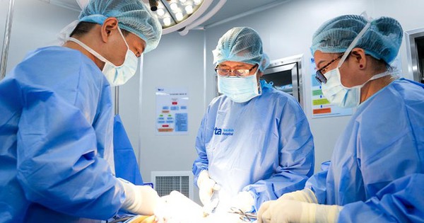 kham u xo tu cung 1751527613970642228262 71 34 564 823 crop 1751527686712815919514