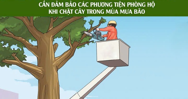 Người đàn ông ở Hải Phòng chấn thương nặng ở đầu vì tỉa cành cây tránh bão 1 nga cay 17531754269541488826897 0 0 450 720 crop 1753175431566616023472