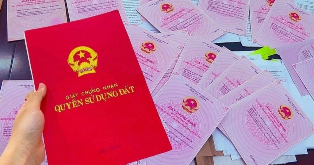 anh ngoc trien cropped 1755453012624