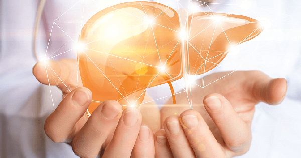 chung ta can lam gi de bao ve la gan 17241618826411704227980 1755171650937 175517165125096489060 0 14 419 684 crop 17551716845991337818099