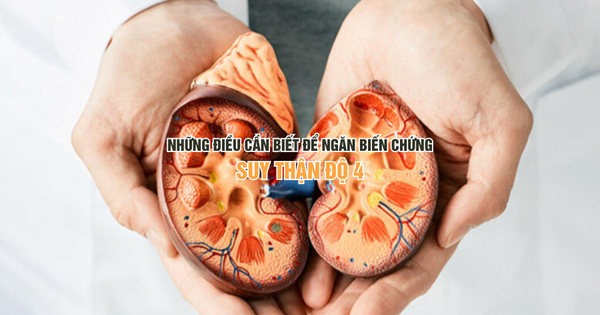 lich hang thang mau kem phong cach huu co 4 17542717342221167843986 0 0 563 900 crop 1754271740891543886672