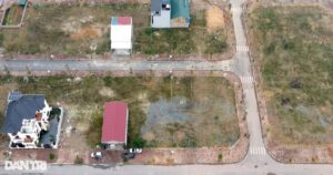 dat cropped cropped 1758048752671