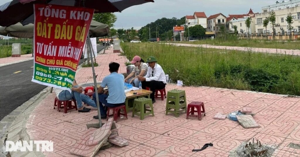 dat dau gia cropped cropped cropped 1759238536138