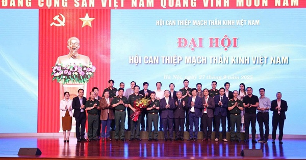hoi tk 2 17590699150801375487626 11 0 1011 1600 crop 1759070102308546797442