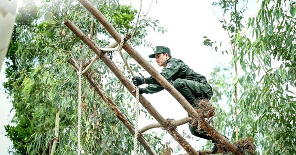 2 1760351900089882437810 0 12 776 1254 crop 1760351952385932878652