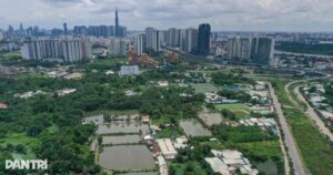 bds cropped 1759835305822