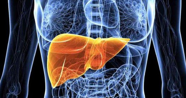 Bác sĩ cảnh báo: 5 dấu hiệu men gan tăng cao, gan đang 'kêu cứu' mà bạn không hay biết 1 detox de acafrao receita para limpar o figado 1759555751589372021608 0 60 384 674 crop 17595557567641823564926