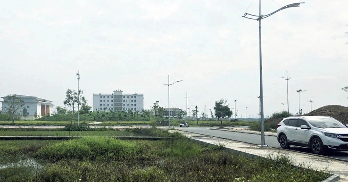 dau gia dat12 tynghe anvinh khang edited cropped 1763966499339