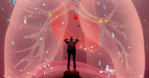 hat vi nhua tan pha suc khoe 17631138466131619992992 97 0 1597 2400 crop 17631139265571460949057