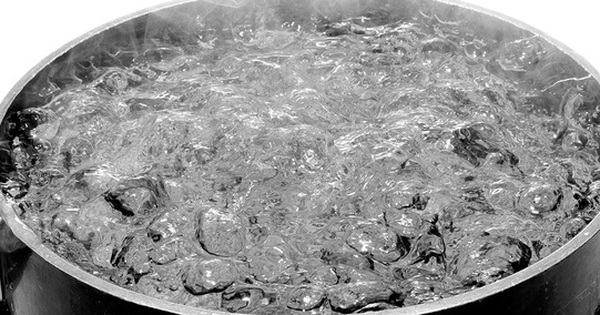 loai bo hat vi nhua dun soi nuoc 1763106080092618112333 0 20 338 561 crop 1763106090860752378172