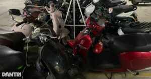 screenshot 2025 12 14 081023 edited cropped 1765674935581