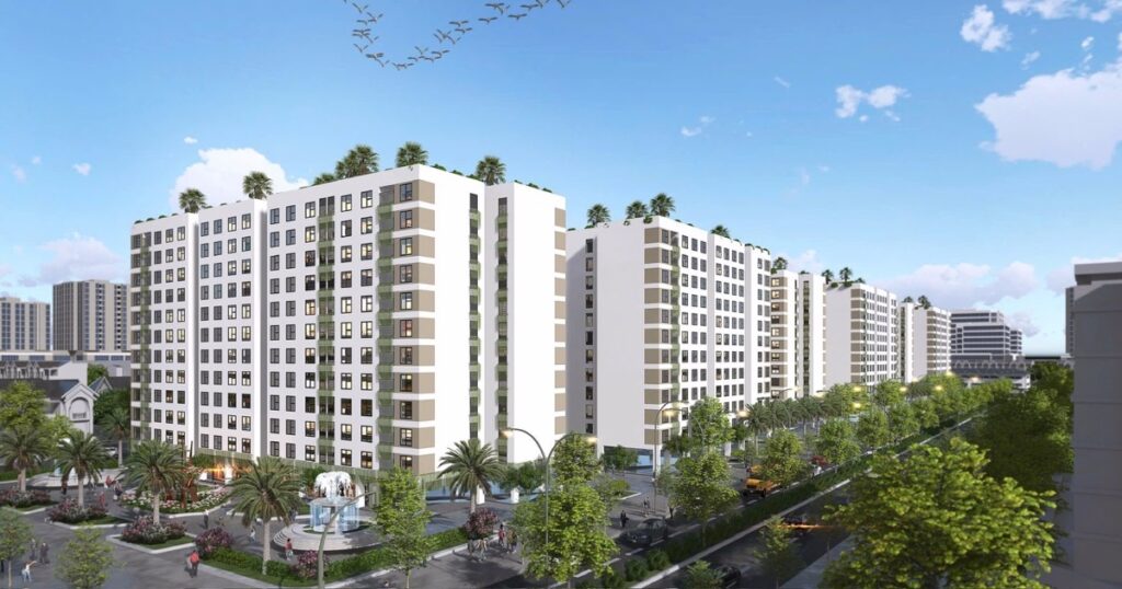 img5552 cropped 1768451357989