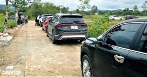 sotdathatinh12 edited 1758275465863 cropped 1767939543454