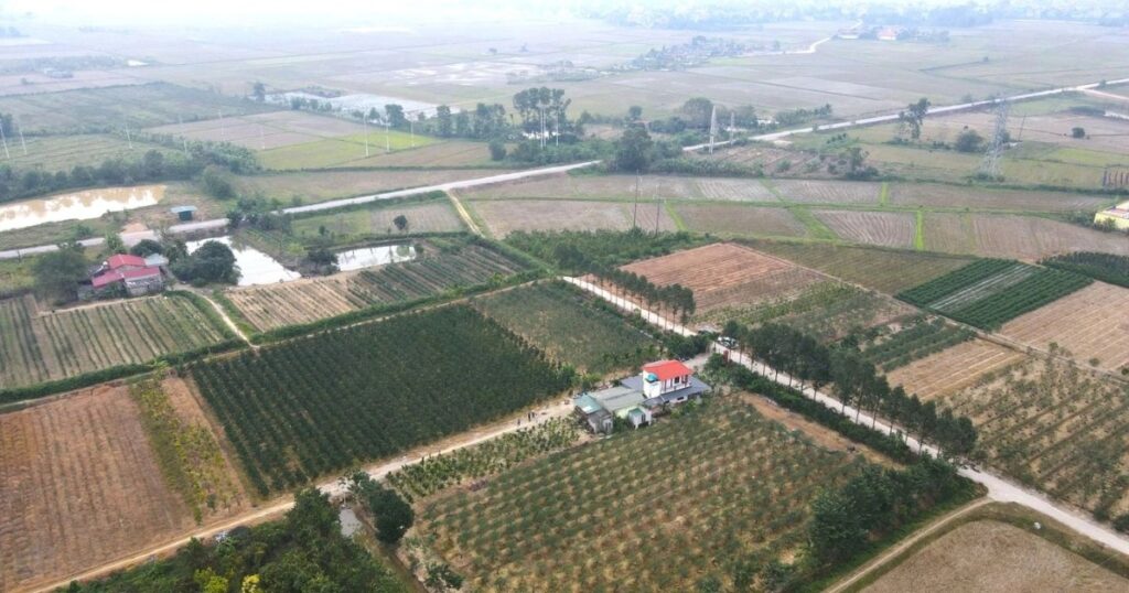 dji0461jpg 1764854015952 cropped 1770088246073